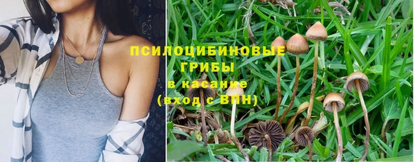 гидра Балабаново