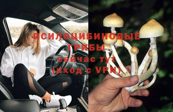 гидра Балабаново